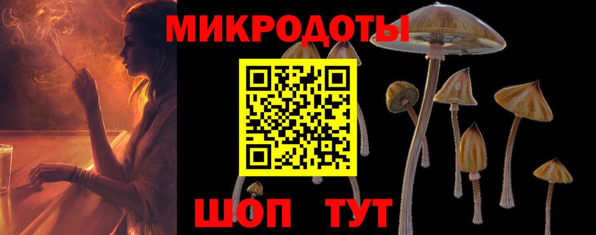 Псилоцибиновые грибы прущие грибы  как найти наркотики  Вход с VPN  Новотроицк  Галлюциногенные грибы мицелий 