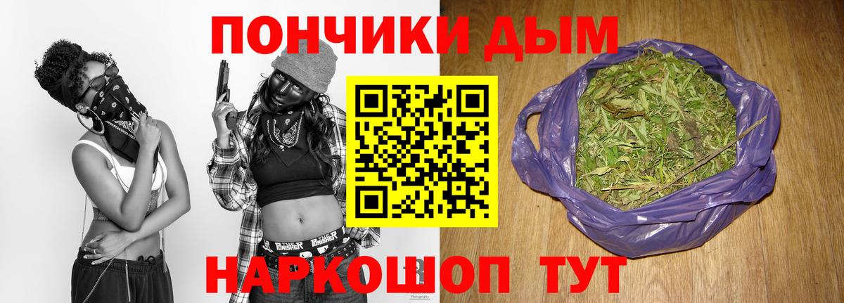 Каннабис планчик Новотроицк